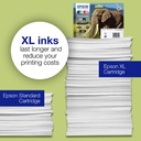epson-c13t24314012-4.jpg