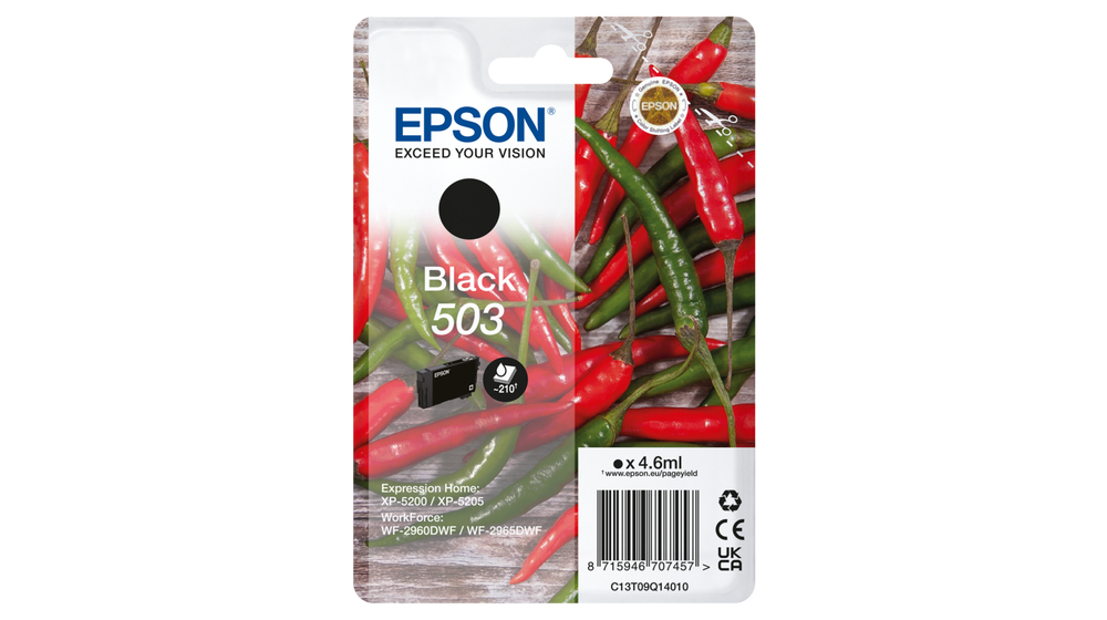 [C13T09Q14010] Cartouche d'encre Epson 503 / C13T09Q14010 noire, 210 pages